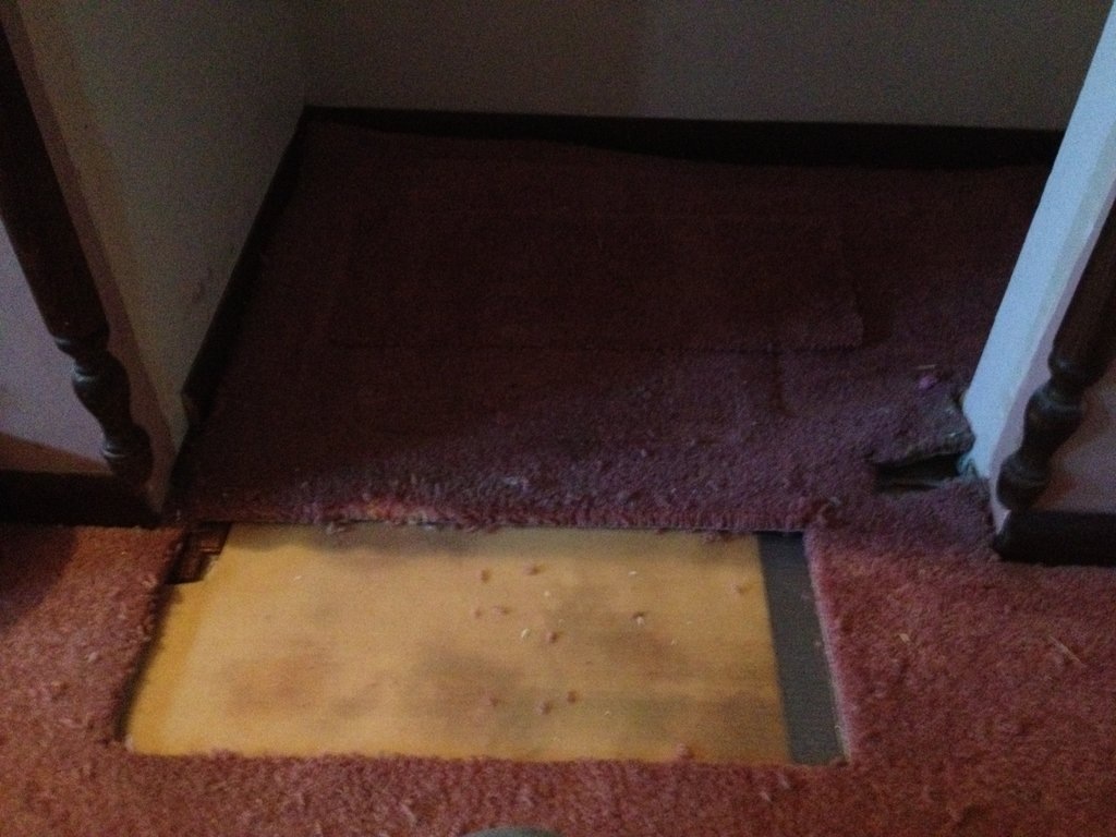 Carpet Repair 2