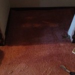 Carpet Repair 3